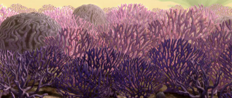 Plik:Lasy koralowe na Rugosie.jpg