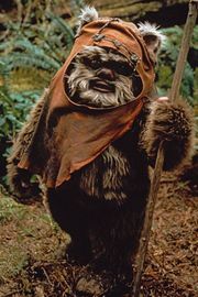 Wicket W. Warrick