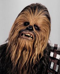 Chewbacca.