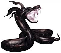 Amphistaff.