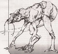 Ssi-ruuk.