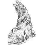 Dewback.