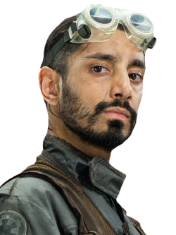 Bodhi Rook.png